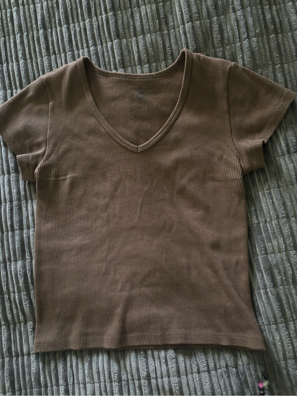 Brandy Melville Ribbed V-Neck Short Sleeve Top in Brown
